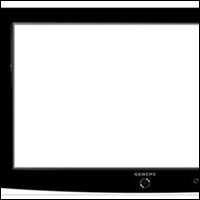 Bild-hg-Web