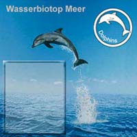Logo Dolphins
